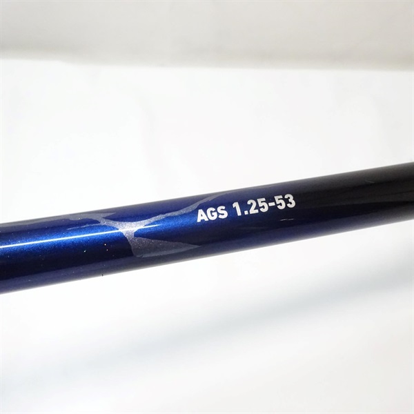 ２１メガディスＡＧＳ１．２５－５３